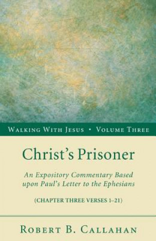Knjiga Christ's Prisoner Robert B Sr Callahan