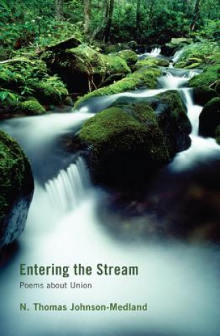 Knjiga Entering the Stream N Thomas Johnson-Medland