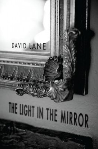 Книга Light in the Mirror David I Lane