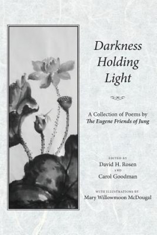 Kniha Darkness Holding Light Carol Goodman