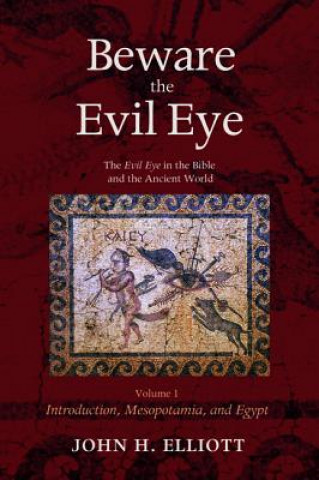 Book Beware the Evil Eye Volume 1 John H Elliott