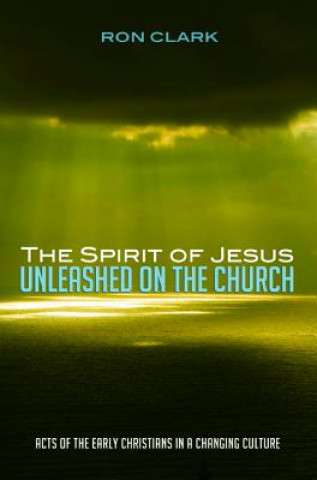 Könyv Spirit of Jesus Unleashed on the Church Ron Clark