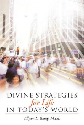 Carte Divine Strategies for Life In Today's World Allyson L Young M Ed