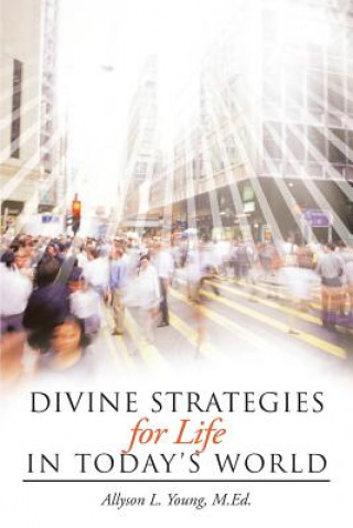 Książka Divine Strategies for Life In Today's World Allyson L Young M Ed