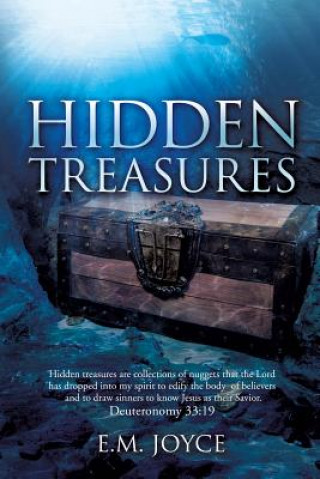 Book Hidden Treasures E M Joyce