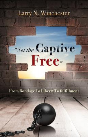 Buch Set the Captive Free Larry N Winchester