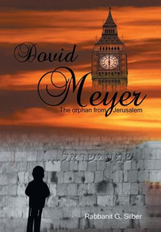 Buch Dovid Meyer Rabbanit G Silber