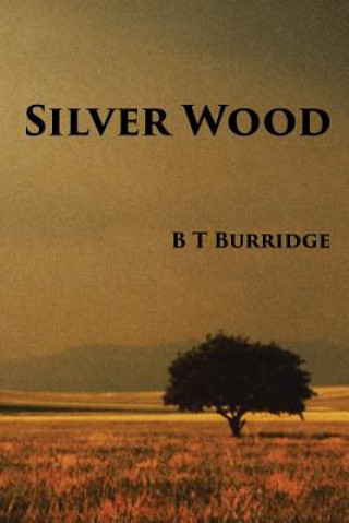 Książka Silver Wood B T Burridge