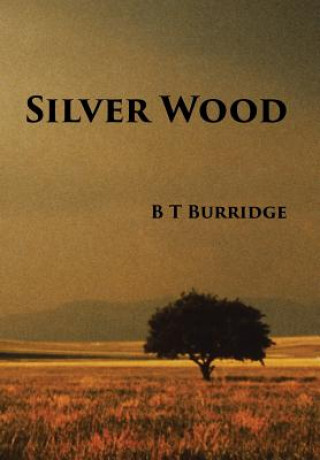 Książka Silver Wood B T Burridge