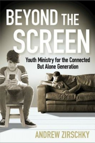 Buch Beyond the Screen Andrew Zirschky