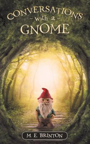 Книга Conversations with a Gnome M E Brinton