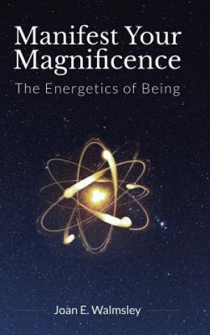 Könyv Manifest Your Magnificence Joan E Walmsley