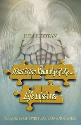 Kniha What is the Meaning of Life... Life Lessons Debbie Bryan