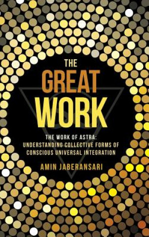 Könyv Great Work Amin Jaberansari