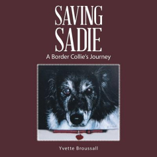 Książka Saving Sadie Yvette Broussall