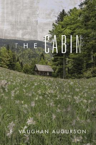 Kniha Cabin E Vaughan Augurson
