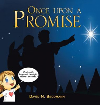Könyv Once upon a Promise David N Brodmann