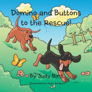 Könyv Domino and Buttons to the Rescue! Judy Bird