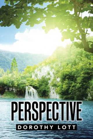 Livre Perspective Dorothy Lott