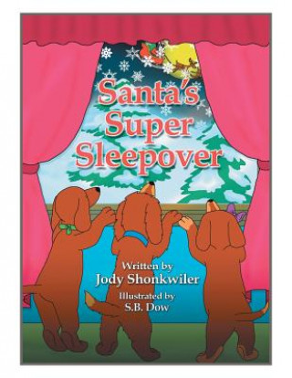 Book Santa's Super Sleepover Jody Shonkwiler