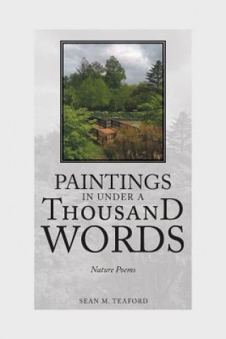 Könyv Paintings in Under a Thousand Words Sean M Teaford