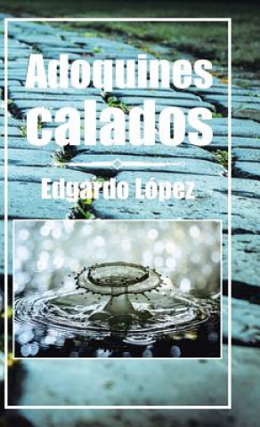 Buch Adoquines calados Edgardo Lopez