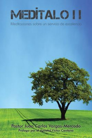 Libro Meditalo PAST VARGAS-MERCADO