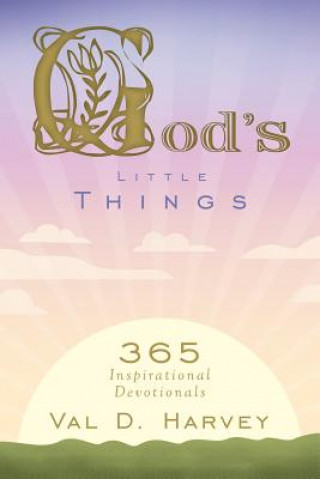 Book God's Little Things Val D Harvey