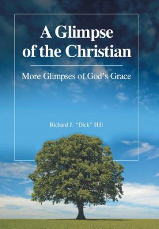 Buch Glimpse of the Christian RICHARD J.  DI HILL