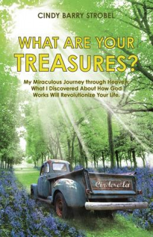 Carte What Are Your Treasures? Cindy Barry Strobel