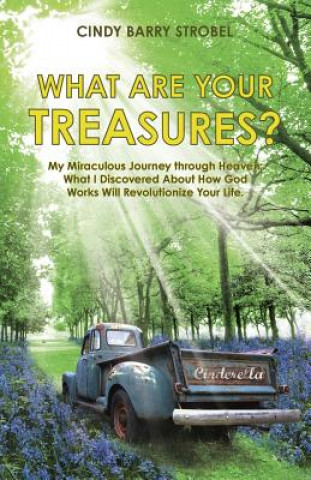 Kniha What Are Your Treasures? Cindy Barry Strobel