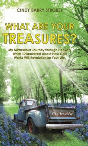 Carte What Are Your Treasures? Cindy Barry Strobel