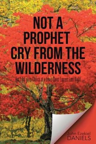 Kniha Not a Prophet Cry from the Wilderness John Ezekiel Daniels