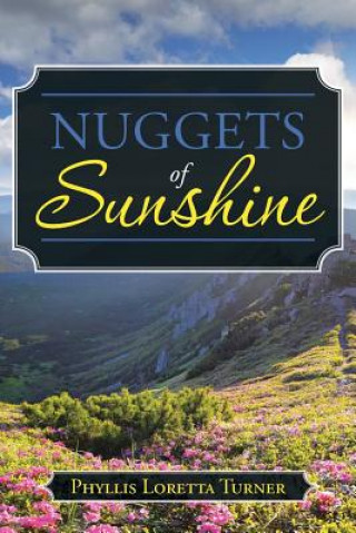 Kniha Nuggets of Sunshine Phyllis Loretta Turner