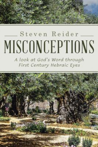 Könyv Misconceptions Steven Reider