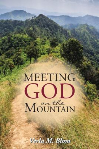 Книга Meeting God on the Mountain Verla M Blom