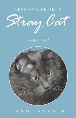 Kniha Lessons from a Stray Cat SANDI SNYDER