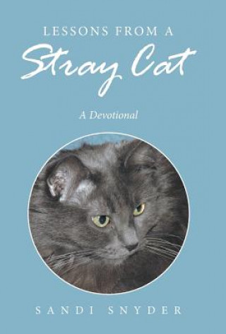 Kniha Lessons from a Stray Cat SANDI SNYDER
