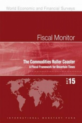 Buch Fiscal monitor IMF Staff