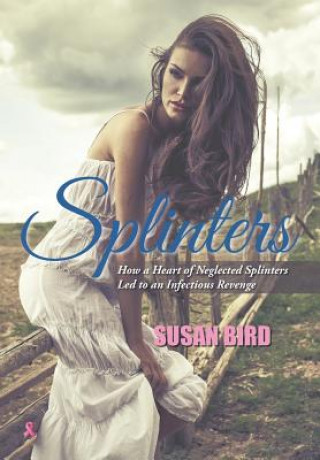 Buch Splinters Susan Bird