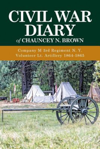 Buch Civil War Diary of Chauncey N. Brown Chauncey N Brown