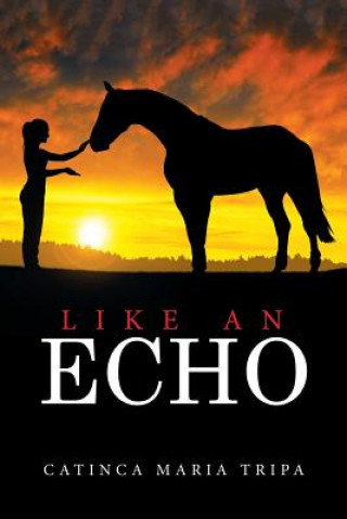 Knjiga Like an Echo Catinca Maria Tripa