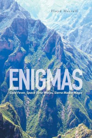 Book Enigmas Floyd Merrell