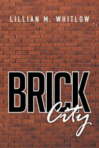 Book Brick City Lillian M Whitlow