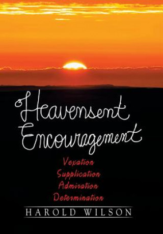 Buch Heavensent Encouragement Wilson