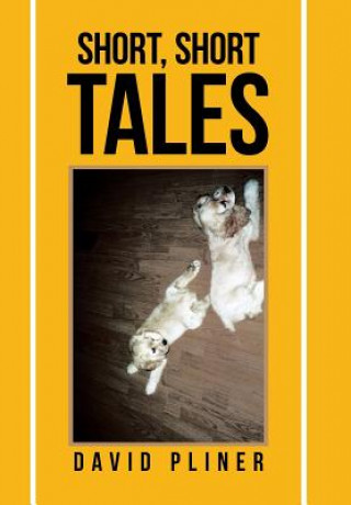 Knjiga Short, Short Tales David Pliner