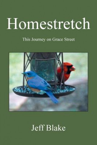 Kniha Homestretch Jeff Blake