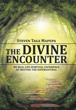 Kniha Divine Encounter STEVEN TAGA MAPEPA