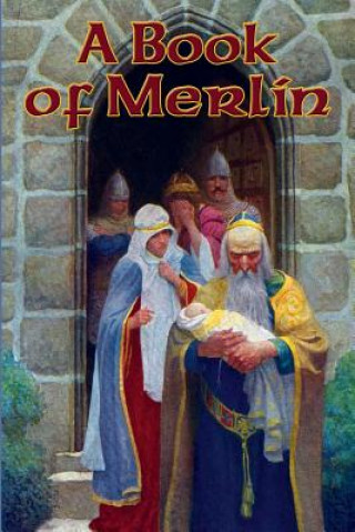 Kniha Book of Merlin Tennyson