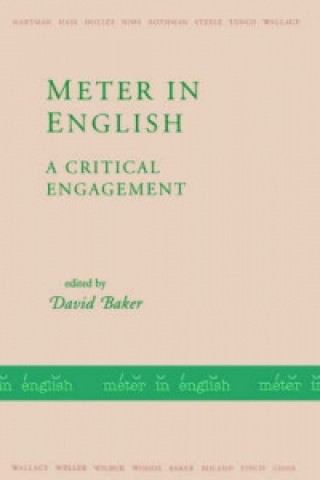 Kniha Meter in English 